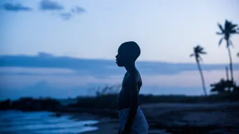 Fotograma 1 de 3 de Moonlight